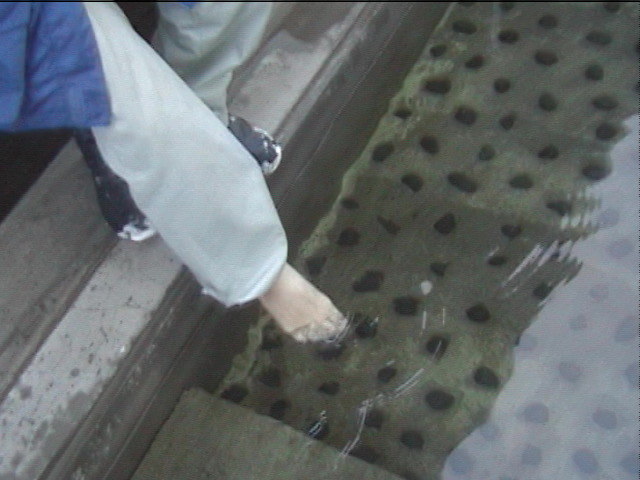 2007newyearinaomori 041.jpg